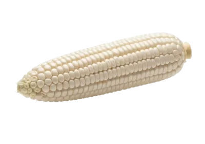 Imagen PNG para descargar